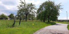 20190526_140930