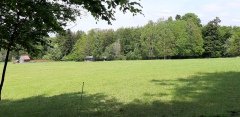 20190526_145954