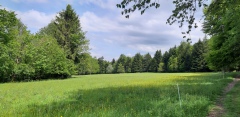20190526_150300