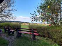 WhatsApp-Image-2025-08-03-at-17.13.10