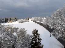 WhatsApp-Image-2025-08-03-at-17.13.49