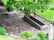 IMG-20251111-WA0009